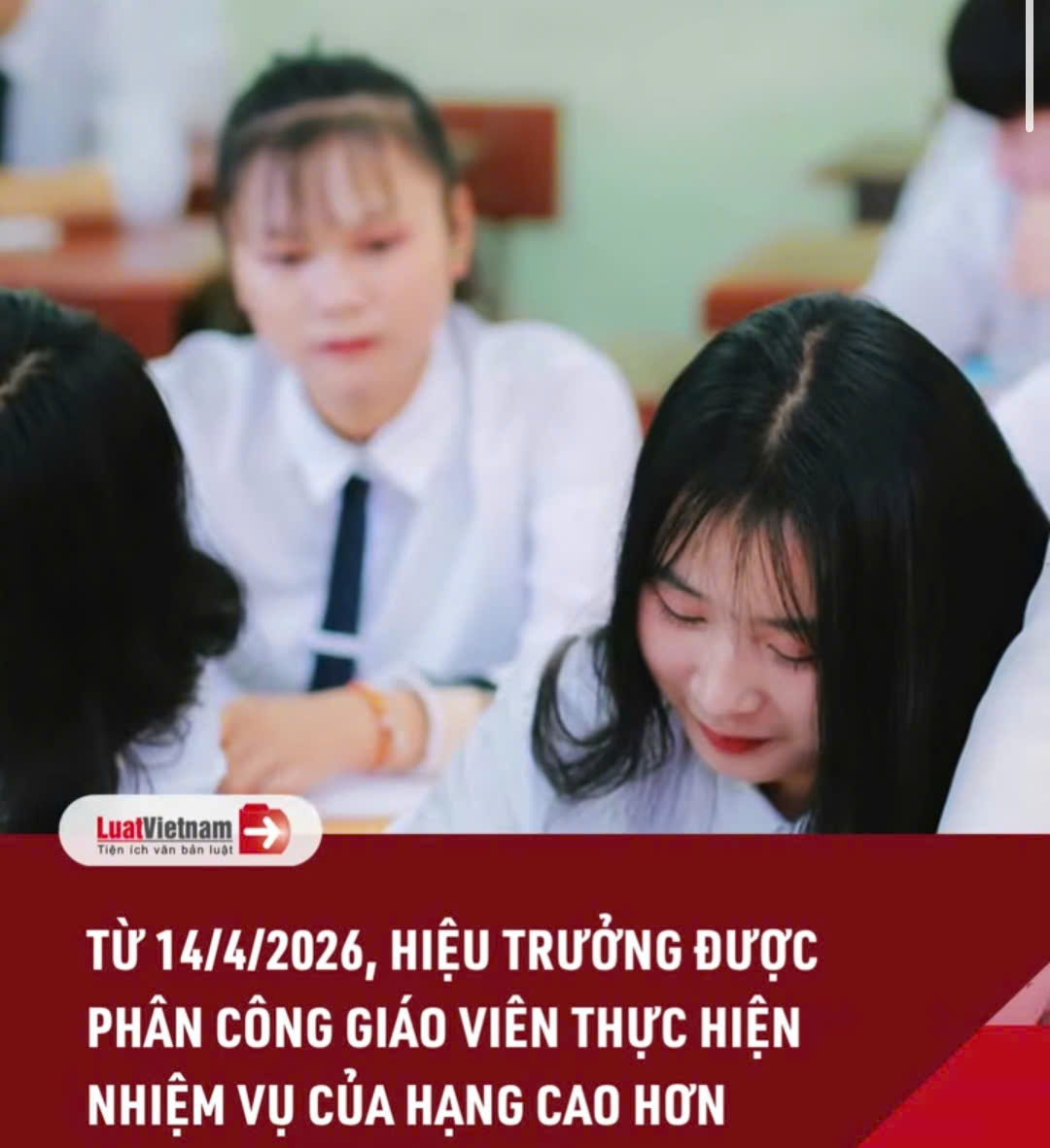 Từ 14-4-2026, hiệu trưởng được phân công giáo viên thực hiện nhiệm vụ của hạng cao hơn #luatvietnamreels #reels #LuatVietnam #shorts #luatsu.mp4